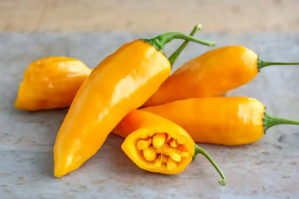Aji Amarillo